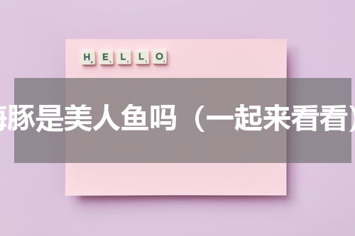 海豚是美人鱼吗（一起来看看）