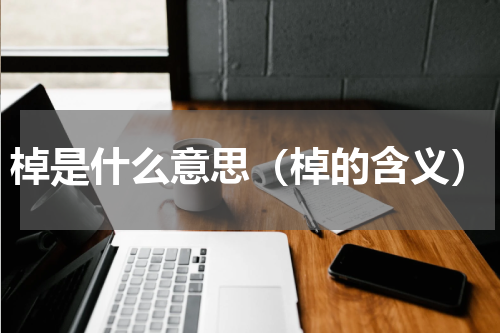 棹是什么意思（棹的含义）