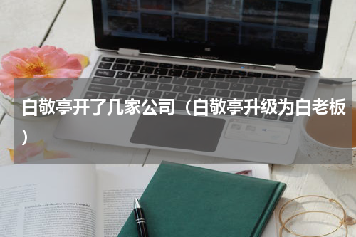 白敬亭开了几家公司（白敬亭升级为白老板）