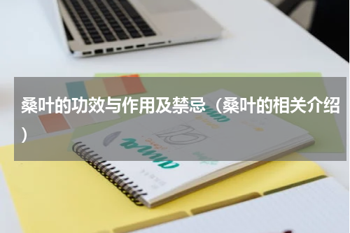 桑叶的功效与作用及禁忌（桑叶的相关介绍）