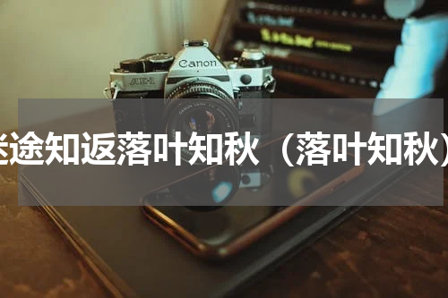 迷途知返落叶知秋（落叶知秋）