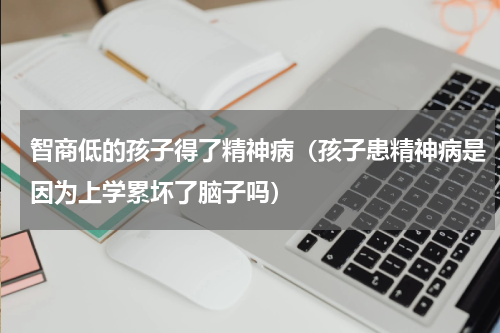 智商低的孩子得了精神病（孩子患精神病是因为上学累坏了脑子吗）