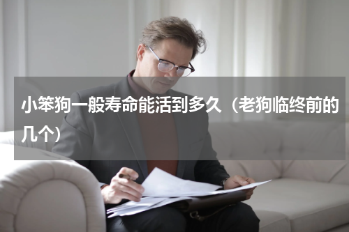 小笨狗一般寿命能活到多久（老狗临终前的几个）