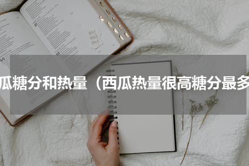 西瓜糖分和热量（西瓜热量很高糖分最多）