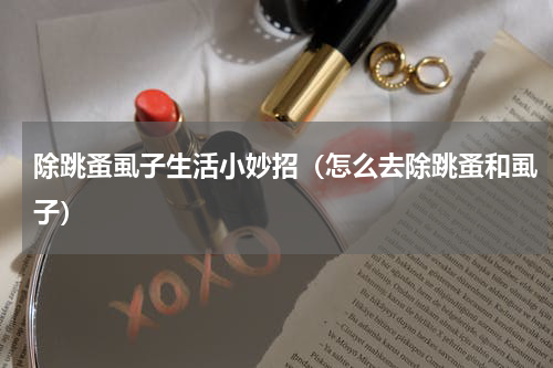 除跳蚤虱子生活小妙招（怎么去除跳蚤和虱子）