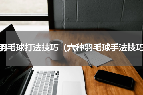论羽毛球打法技巧（六种羽毛球手法技巧）
