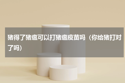 猪得了猪瘟可以打猪瘟疫苗吗（你给猪打对了吗）