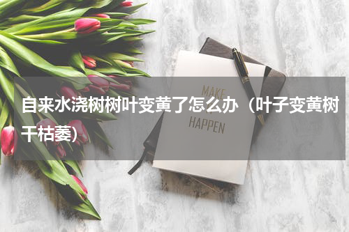 自来水浇树树叶变黄了怎么办（叶子变黄树干枯萎）