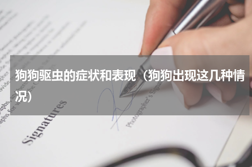 狗狗驱虫的症状和表现（狗狗出现这几种情况）