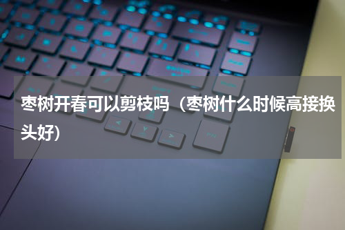 枣树开春可以剪枝吗（枣树什么时候高接换头好）