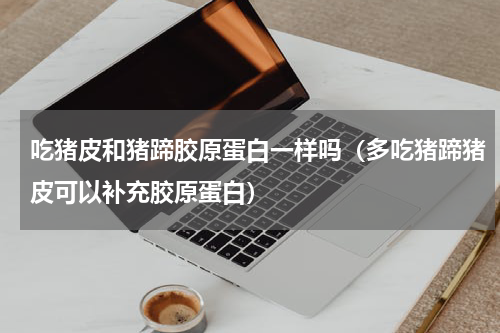 吃猪皮和猪蹄胶原蛋白一样吗（多吃猪蹄猪皮可以补充胶原蛋白）