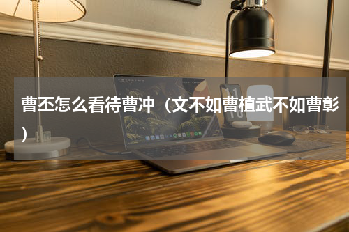 曹丕怎么看待曹冲（文不如曹植武不如曹彰）