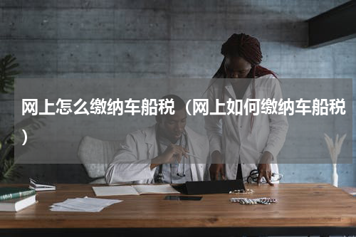 网上怎么缴纳车船税（网上如何缴纳车船税）