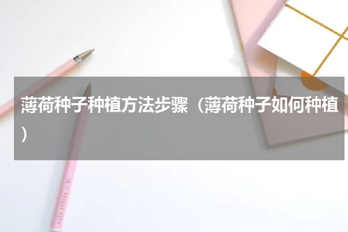 薄荷种子种植方法步骤（薄荷种子如何种植）