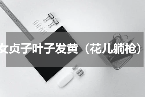 女贞子叶子发黄（花儿躺枪）