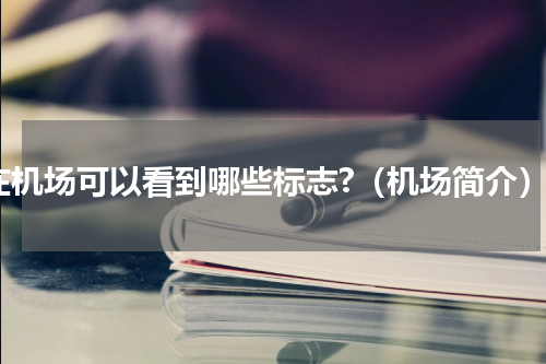 在机场可以看到哪些标志?（机场简介）