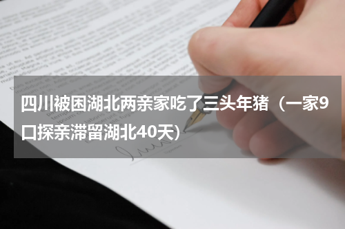 四川被困湖北两亲家吃了三头年猪（一家9口探亲滞留湖北40天）