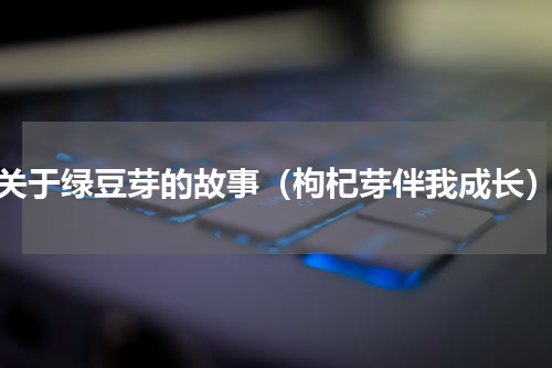 关于绿豆芽的故事（枸杞芽伴我成长）