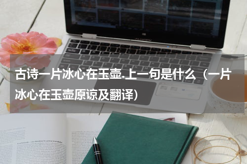 古诗一片冰心在玉壶.上一句是什么（一片冰心在玉壶原谅及翻译）