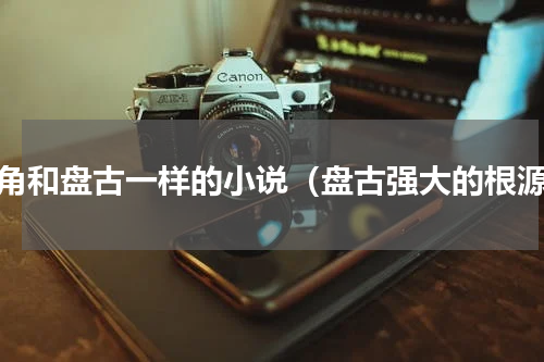 主角和盘古一样的小说（盘古强大的根源）