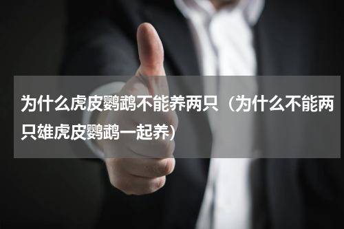 为什么虎皮鹦鹉不能养两只（为什么不能两只雄虎皮鹦鹉一起养）
