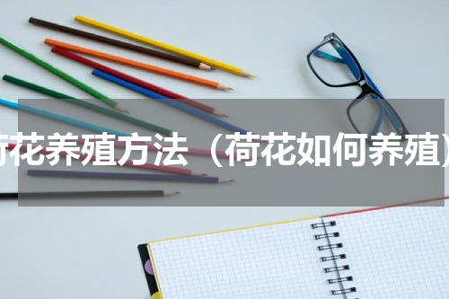 荷花养殖方法（荷花如何养殖）