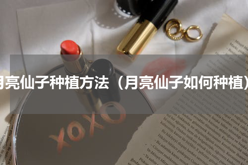 月亮仙子种植方法（月亮仙子如何种植）