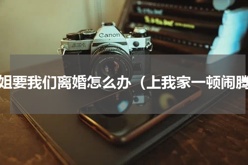 姐姐要我们离婚怎么办（上我家一顿闹腾）