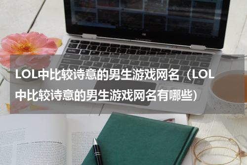 LOL中比较诗意的男生游戏网名（LOL中比较诗意的男生游戏网名有哪些）