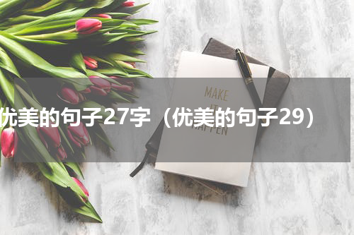 优美的句子27字（优美的句子29）