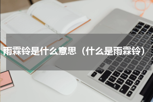 雨霖铃是什么意思（什么是雨霖铃）