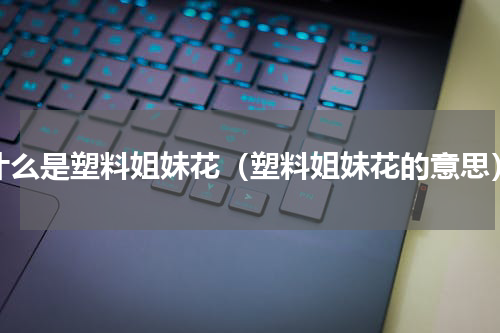 什么是塑料姐妹花（塑料姐妹花的意思）