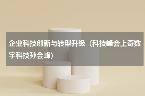 企业科技创新与转型升级（科技峰会上奇数字科技孙会峰）