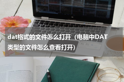 dat格式的文件怎么打开（电脑中DAT类型的文件怎么查看打开）