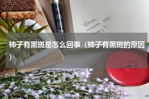 柿子有黑斑是怎么回事（柿子有黑斑的原因）