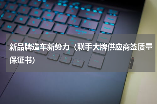 新品牌造车新势力（联手大牌供应商签质量保证书）