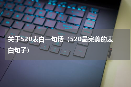 关于520表白一句话（520最完美的表白句子）