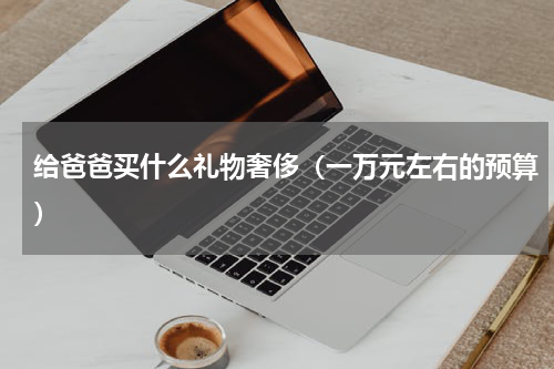 给爸爸买什么礼物奢侈（一万元左右的预算）