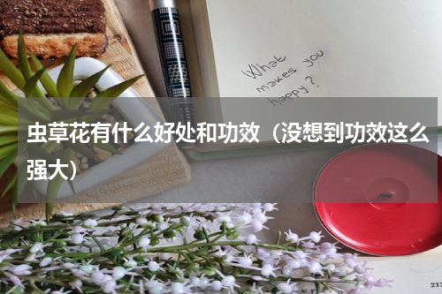 虫草花有什么好处和功效（没想到功效这么强大）