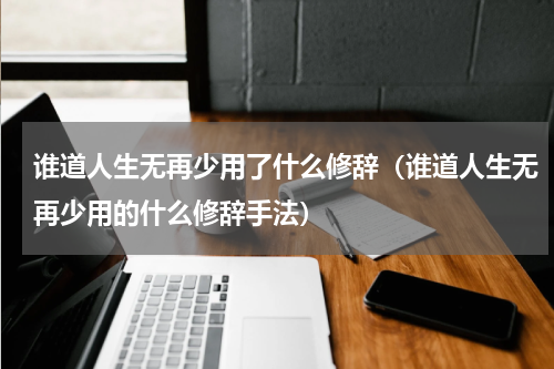谁道人生无再少用了什么修辞（谁道人生无再少用的什么修辞手法）