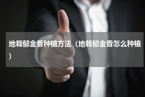 地栽郁金香种植方法（地栽郁金香怎么种植）