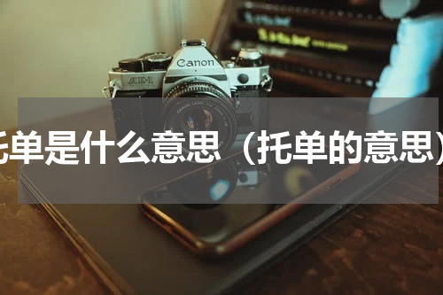 托单是什么意思（托单的意思）