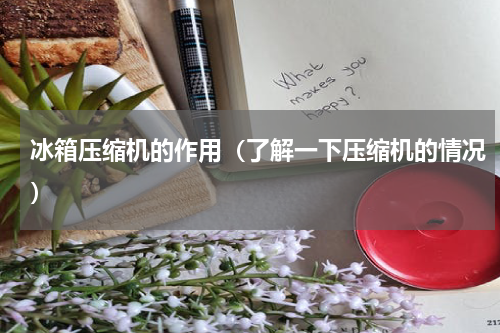 冰箱压缩机的作用（了解一下压缩机的情况）