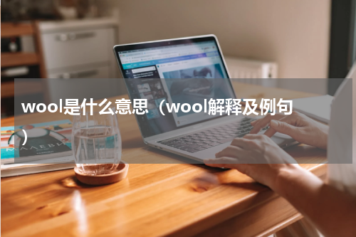 wool是什么意思（wool解释及例句）