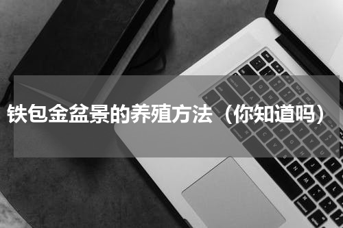 铁包金盆景的养殖方法（你知道吗）