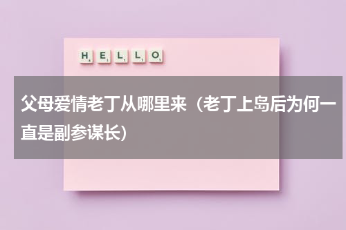 父母爱情老丁从哪里来（老丁上岛后为何一直是副参谋长）