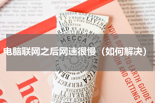电脑联网之后网速很慢（如何解决）