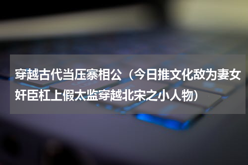 穿越古代当压寨相公（今日推文化敌为妻女奸臣杠上假太监穿越北宋之小人物）