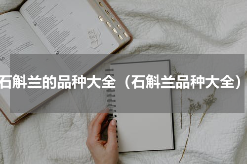 石斛兰的品种大全（石斛兰品种大全）