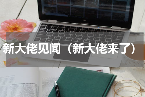 新大佬见闻（新大佬来了）